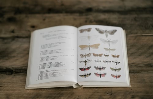 biologie boek