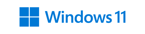 Windows 11